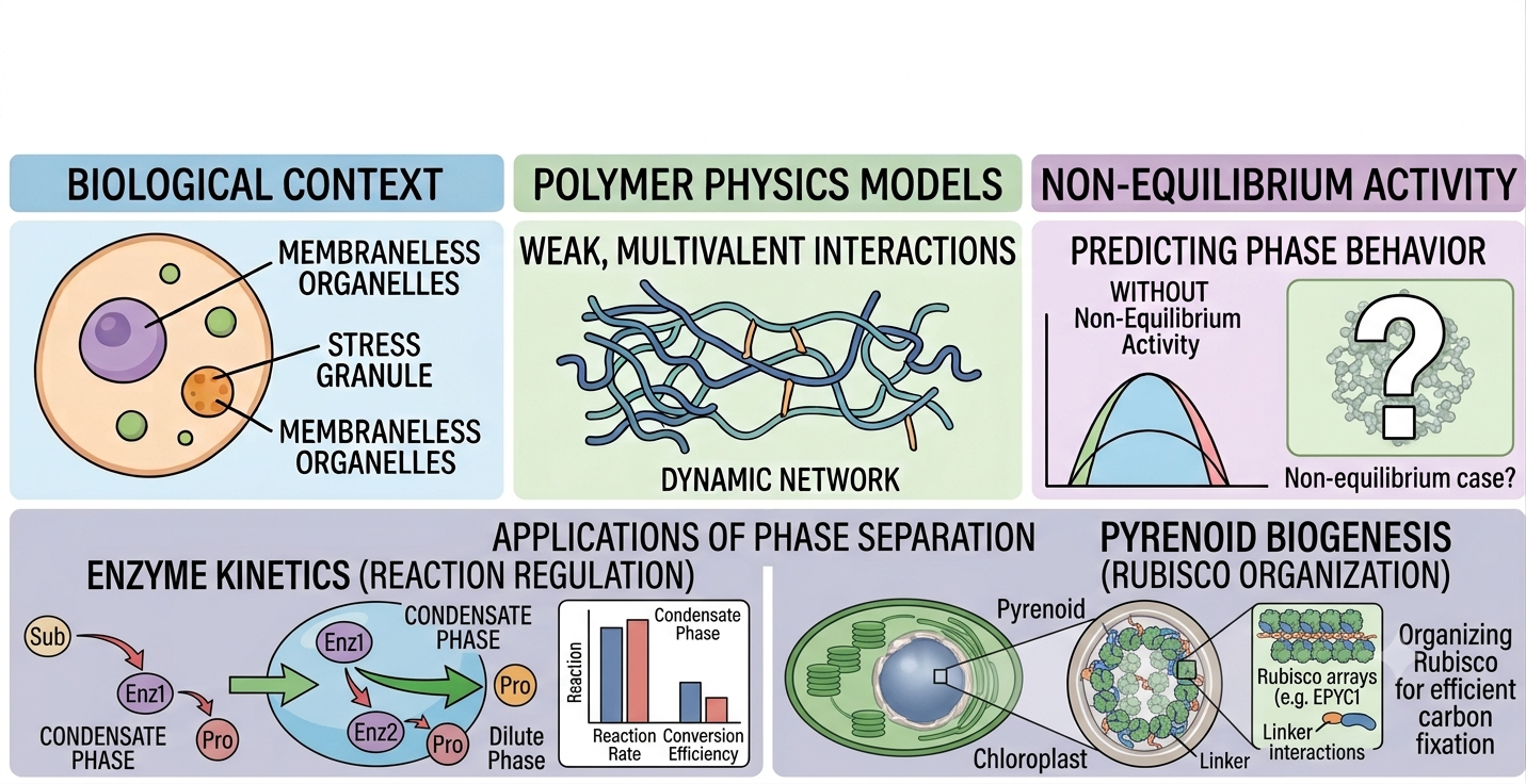 Research Overview Diagram